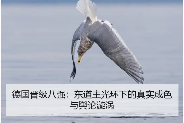 德国晋级八强：东道主光环下的真实成色与舆论漩涡