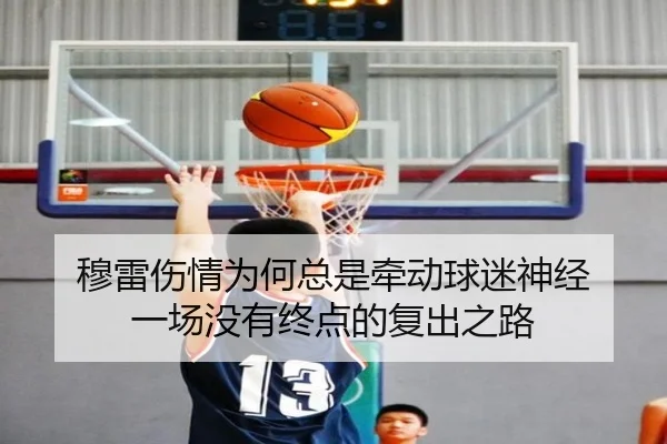 穆雷伤情为何总是牵动球迷神经 一场没有终点的复出之路