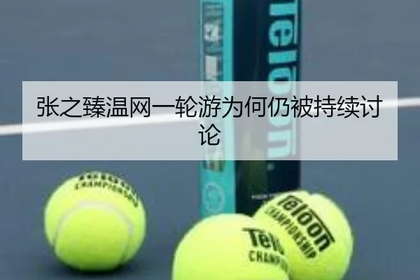 zhang-zhi-zhen-wen-wang-yi-lun-you-wei-he-reng-bei-chi-xu-tao-lun-2-429.jpg